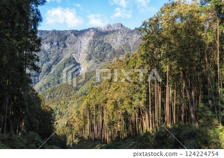Mount Data in Alishan 124224754