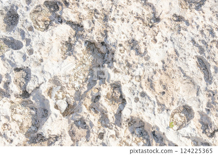 熱帶海琉球石灰岩背景影像 124225365