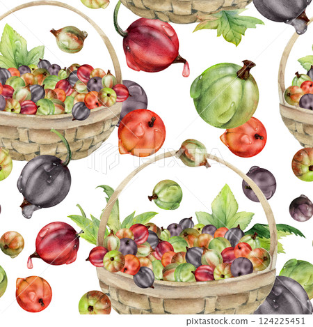 Currant gooseberry in clusters, leaves in weaved basket, hand drawn in watercolor, ripe picked berry harvest, casseille jostaberry. Isolated seamless pattern. Scrapbooking, washi tape, cover design Currant gooseberry in clusters, leaves in weaved basket, hand drawn in watercolor, ripe picked berry harvest, casseille jostaberry. Isolated seamless pattern. Scrapbooking, washi tape, cover design 124225451