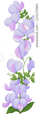 Illustration of row of Pea flowersEdible flowers 124225864