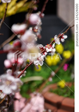 Spring scent 124226000