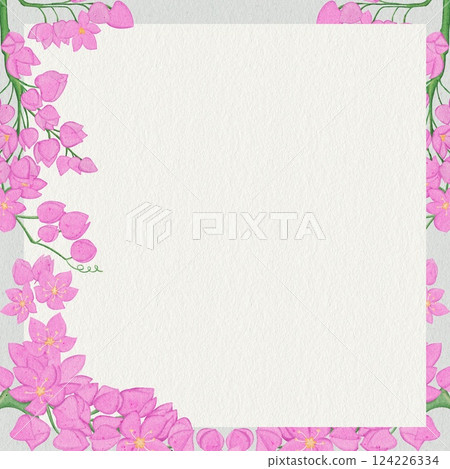 Mexican Creeper flower on Simple background 124226334