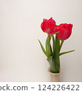 Tulip living in a vase 124226422