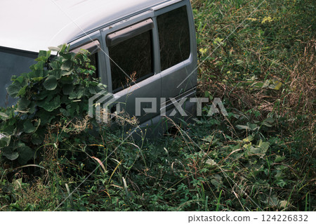 被雜草覆蓋的廢棄汽車 124226832