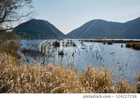 寧靜的伊牟田池 124227236