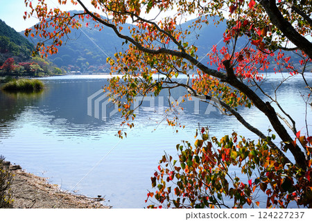 伊牟田池的秋天 124227237