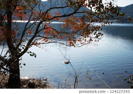 伊牟田池的秋季美景 124227243