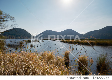 伊牟田池景色，特別天然紀念物 124227246