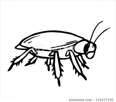 cockroach, insect, bug 124227250