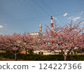 櫻花、藍天和火力發電廠 124227366