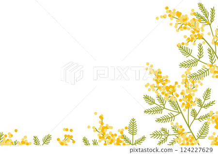 Mimosa flower frame 1 124227629