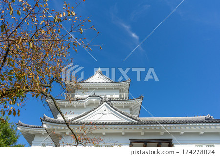 藍天下的日本小田原城 124228024