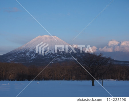 View of Mt. Yotei in the evening sun from Niseko Takahashi Farm in winter View of Mt. Yotei in the evening sun from Niseko Takahashi Farm in winter 124228298