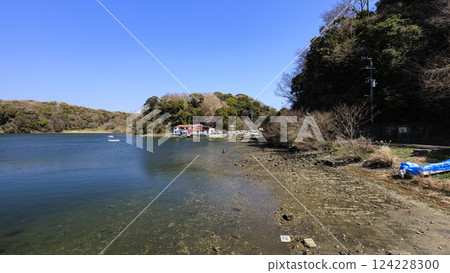 A quiet harbor 124228300