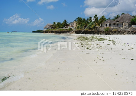 Washed out rocks at jambiani beach on Indian Ocean in African Zanzibar island in Tanzania 124228575