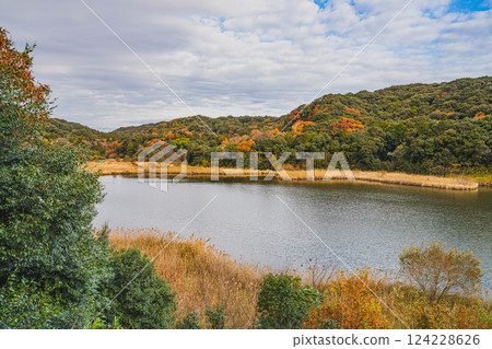 Autumn foliage at Okegaya Marsh in Iwata City (Shizuoka Prefecture) Autumn foliage at Okegaya Marsh in Iwata City (Shizuoka Prefecture) 124228626