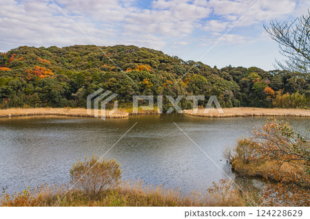 磐田市桶谷濕地的紅葉（靜岡縣） 124228629