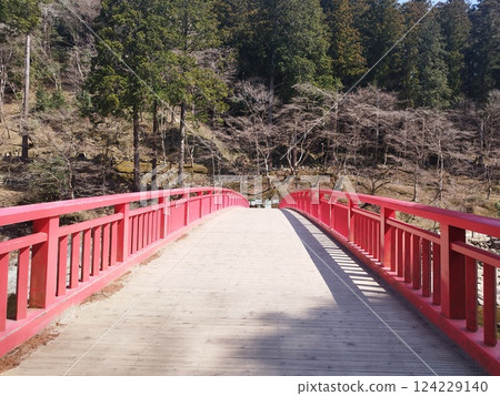 Taizuki Bridge in Korankei in spring (Toyota City, Aichi Prefecture) 124229140