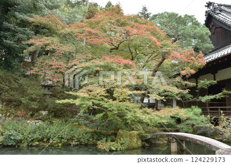 Shoren-in Temple Gardens starting to turn color - Soami Garden - Kogosho and Ryushin Pond 124229173