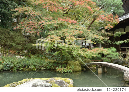 青蓮院庭園開始變色 - 相阿彌庭園 - 金禦所與龍心池 124229174