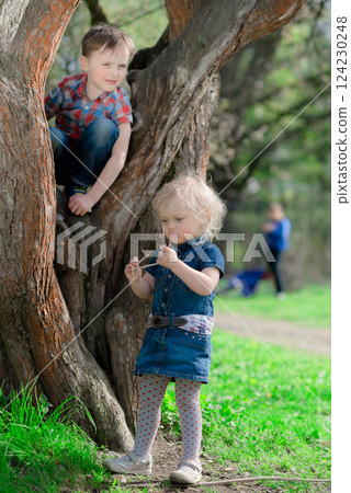 Children Climbing Tree and Exploring Nature Outdoors Children Climbing Tree and Exploring Nature Outdoors 124230248