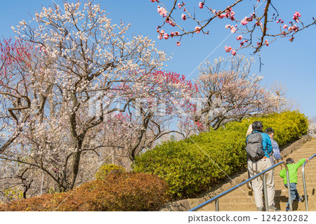 [東京] 羽木公園梅林 124230282