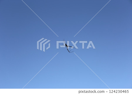 藍天和陰霾 藍天和陰霾 124230465