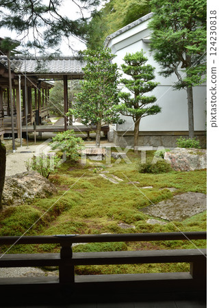 南禪寺、方丈庭園、鹹安園（京都市左京區） 124230818