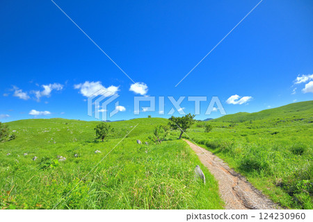Image of walking through the gardens around Akiyoshidai Observatory in the Chugoku region, Miya City, Yamaguchi Prefecture (3) Image of walking through the gardens around Akiyoshidai Observatory in the Chugoku region, Miya City, Yamaguchi Prefecture (3) 124230960