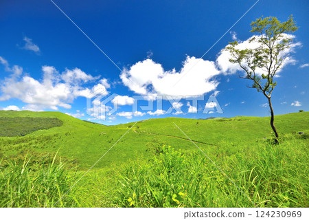 Beautiful scenery seen from the walking trail around Akiyoshidai Observatory in the Chugoku region, Miya City, Yamaguchi Prefecture (1) 124230969