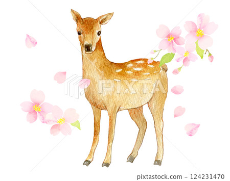 Watercolor illustration: Fawn in cherry blossom season 124231470