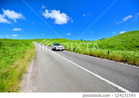 Chugoku Region, Akiyoshidai, A driving course through blue skies and grasslands, Akiyoshidai Karst Road, Miya City, Yamaguchi Prefecture (6) 124231593