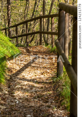 Pathway at Cadini del Brenton, Dolomites, Italy Pathway at Cadini del Brenton, Dolomites, Italy 124231779