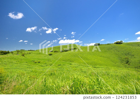 Driving along Akiyoshidai Karst Road in the Chugoku region, Akiyoshidai, Yamaguchi Prefecture (3) 124231853