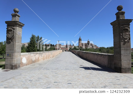 Roman Bridge in Salamanca, Spain 124232309