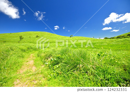 Chugoku region, Akiyoshidai, Akiyoshidai Karst Road, Segway course near Chojagamori parking lot, Miya City, Yamaguchi Prefecture Chugoku region, Akiyoshidai, Akiyoshidai Karst Road, Segway course near Chojagamori parking lot, Miya City, Yamaguchi Prefecture 124232331