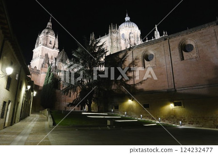 Salamanca, Spain, New Cathedral at night 124232477