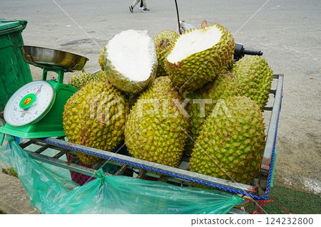 Asian Market Durian 124232800