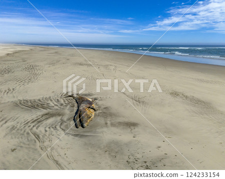 Dead whale on a Baja California Sur sandy beach bahia magdalena aerial drone panorama landscape Dead whale on a Baja California Sur sandy beach bahia magdalena aerial drone panorama landscape 124233154