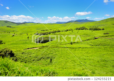 View from the Mito Observatory in Akiyoshidai, Chugoku region, overlooking the Akiyoshidai Karst Road and the Karst Plateau, Miya City, Yamaguchi Prefecture (4) 124233215