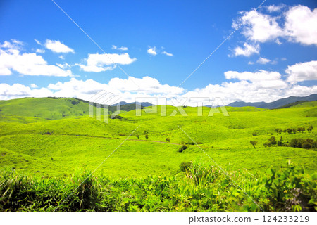 View from the Bito Observatory in Akiyoshidai, Chugoku region, overlooking the Akiyoshidai Karst Road and the Karst Plateau, Miya City, Yamaguchi Prefecture (8) 124233219