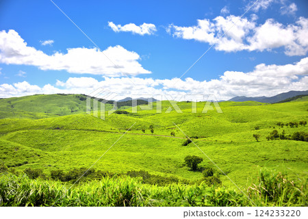 View from the Bito Observatory in Akiyoshidai, Chugoku region, overlooking the Akiyoshidai Karst Road and the Karst Plateau, Miya City, Yamaguchi Prefecture (9) 124233220