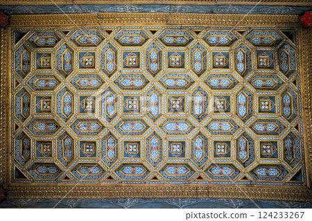 Ceiling decoration of the University of Salamanca, Spain 124233267