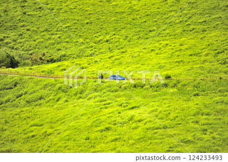 Chugoku region, Akiyoshidai, Akiyoshidai Karst Road, a car comfortably driving through the grasslands, from the Bito Observatory, Miya City, Yamaguchi Prefecture (3) 124233493