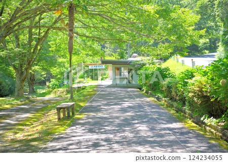 山口縣宮市中國地方秋吉台大正洞窟入口處景觀 124234055