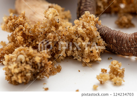 Small larvae parasitizing inside shiitake mushrooms. Shiitake mushrooms crumbled into pieces. Small larvae parasitizing inside shiitake mushrooms. Shiitake mushrooms crumbled into pieces. 124234703