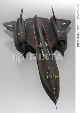 飛機 噴氣式飛機 蒼蠅 124235267