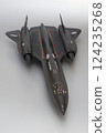 飛機 噴氣式飛機 蒼蠅 124235268