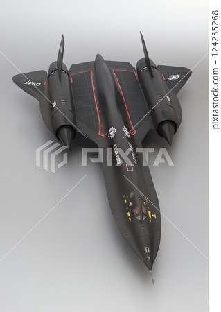 airplane, Jet Plane, flying 124235268
