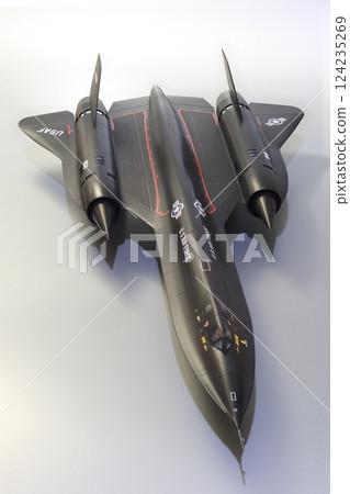 飛機 噴氣式飛機 蒼蠅 124235269